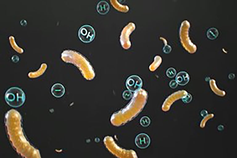 The yellow bacteria and germs get inactivated with OH and H particles.