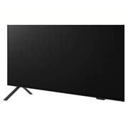 LG 4K OLED Hospitality TV, 55AM960H (NA)