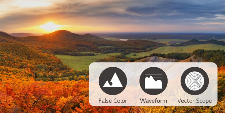 Through analyzing the video signal, the False Color, Waveform, and Vector Scope information is visualized and shown.