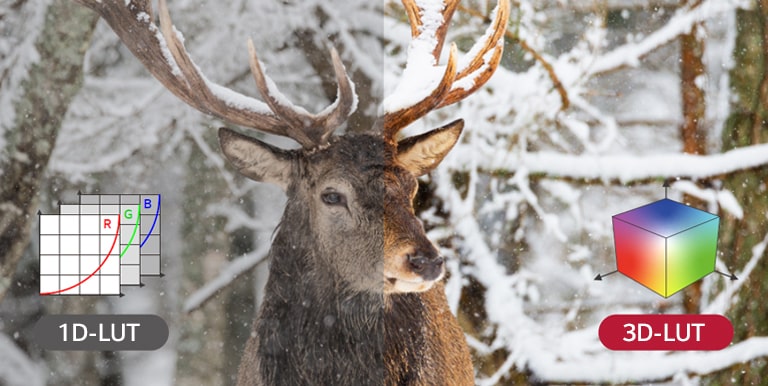 Using 3D-LUT rather than 1D-LUT, the color combination becomes more abundant, making color reproduction more accurate.