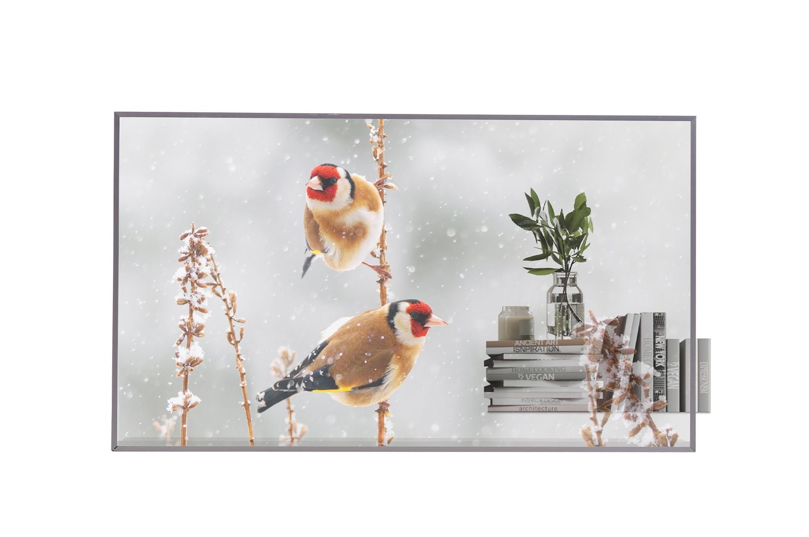 LG Transparent OLED, 55EW5P-M