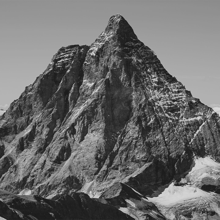 An image of a zebra's head from one side shows how 2000:1 contrast ratio can express deeper black color than 1000:1 ratio.	