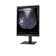 LG 21.3-inch 5MP IPS Diagnostic Monitor for Mammography, 21HQ613D