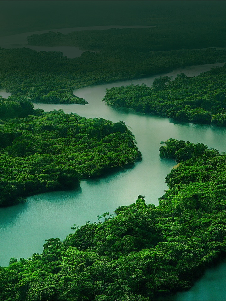 Aerial view of lush green forest and river with text overlay "Better Life for All" promoting sustainability
