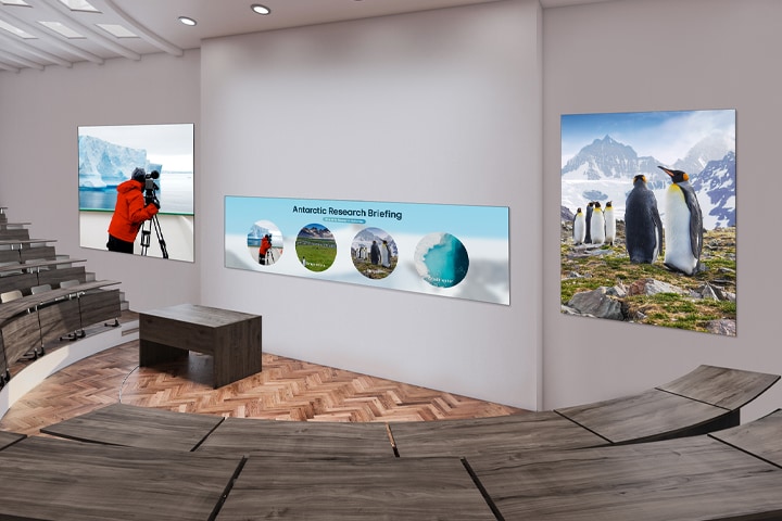 Three large LED displays are installed on an auditorium wall. A wide LASA136 display configured in a 1×2 layout is positioned in the center, with two displays configured in 2×1 layouts placed on either side, clearly showing briefing materials and natural scenery related to Antarctic ecology.