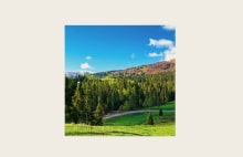 LG digital signage displaying model in forest setting for natural cosmetics branding. LG display technology enhancing retail storytelling with immersive visuals.