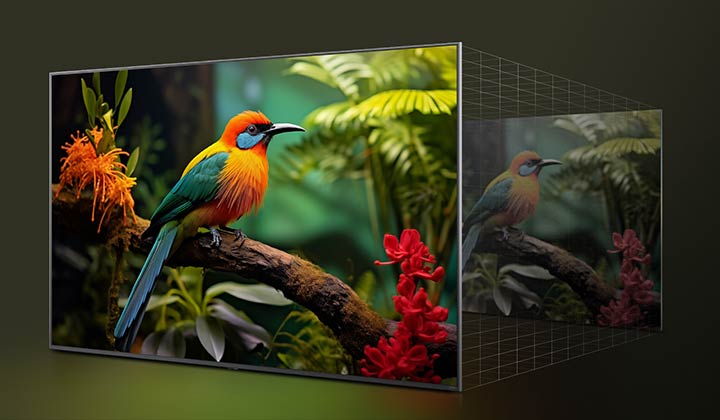 Perbandingan sebelum dan sesudah untuk melihat bagaimana LG 4K Super Upscaling meningkatkan kualitas gambar. Dua panel menampilkan gambar yang sama dari seekor burung berwarna-warni yang duduk di dahan pohon di hutan, panel di sebelah kanan ditampilkan dengan efek pudar.
