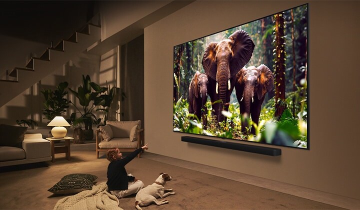 Seorang gadis dan seekor anjing duduk di depan TV LG QNED yang dipasang di dinding, menampilkan tiga gajah yang berjalan keluar di atas LG Soundbar.