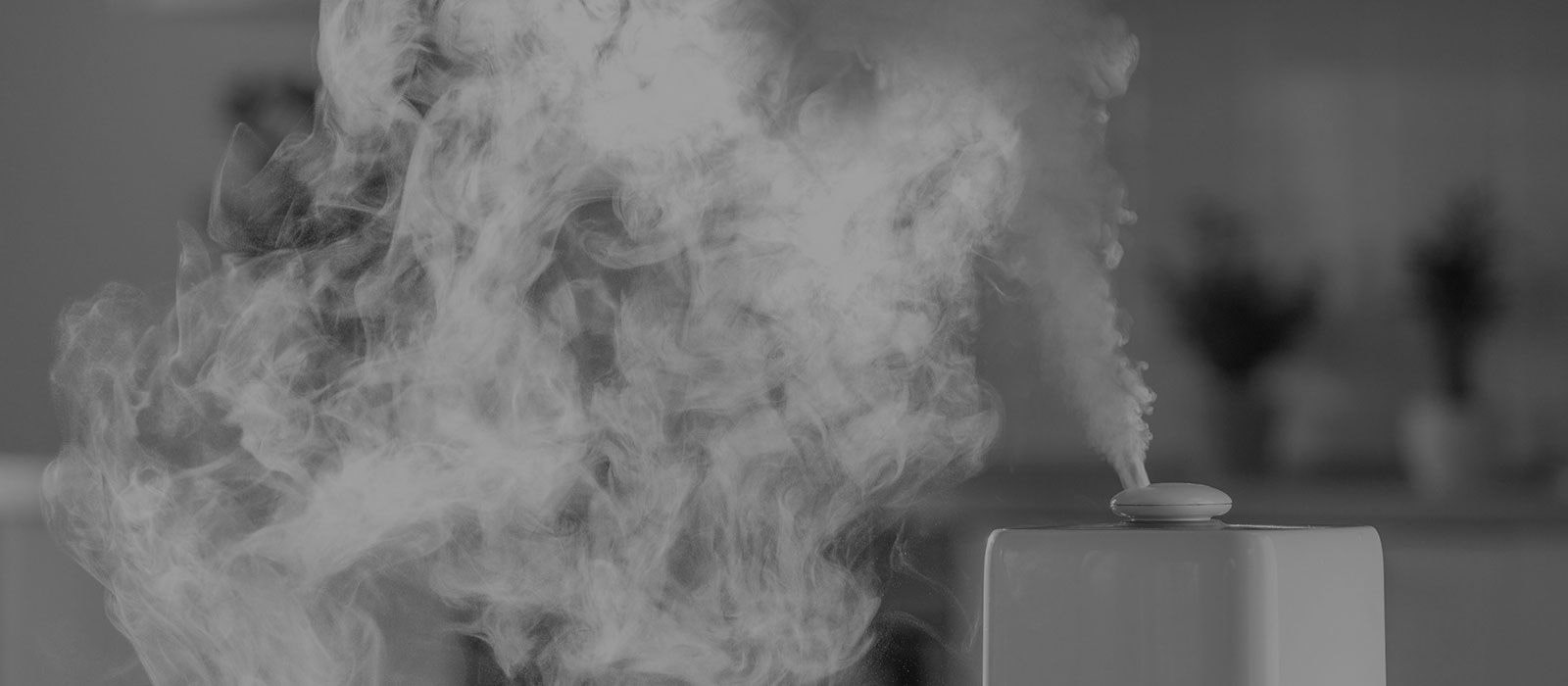 Humidifier Yang Dapat Membantu Anda Memerangi Rumah yang Kering