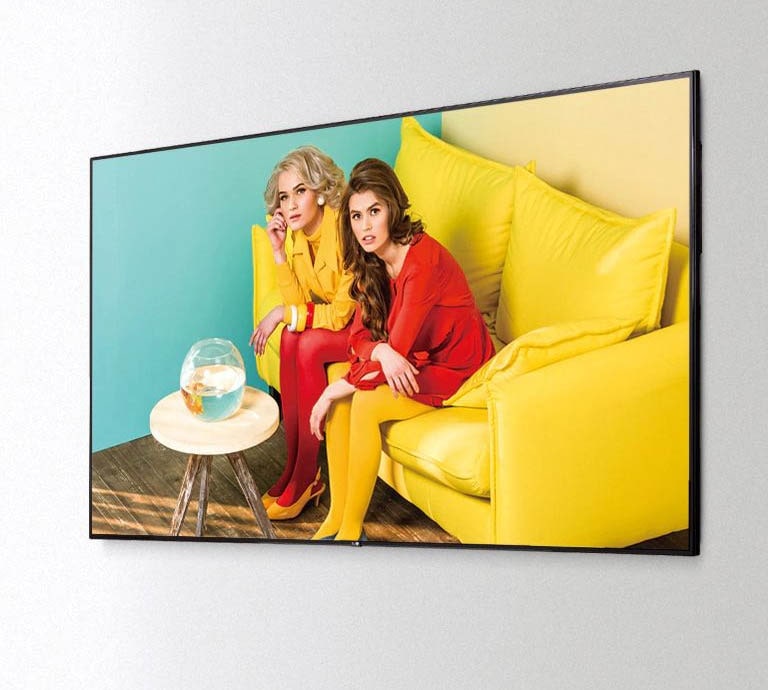 in_cat_digital_feature_006_cccc_1479373375214