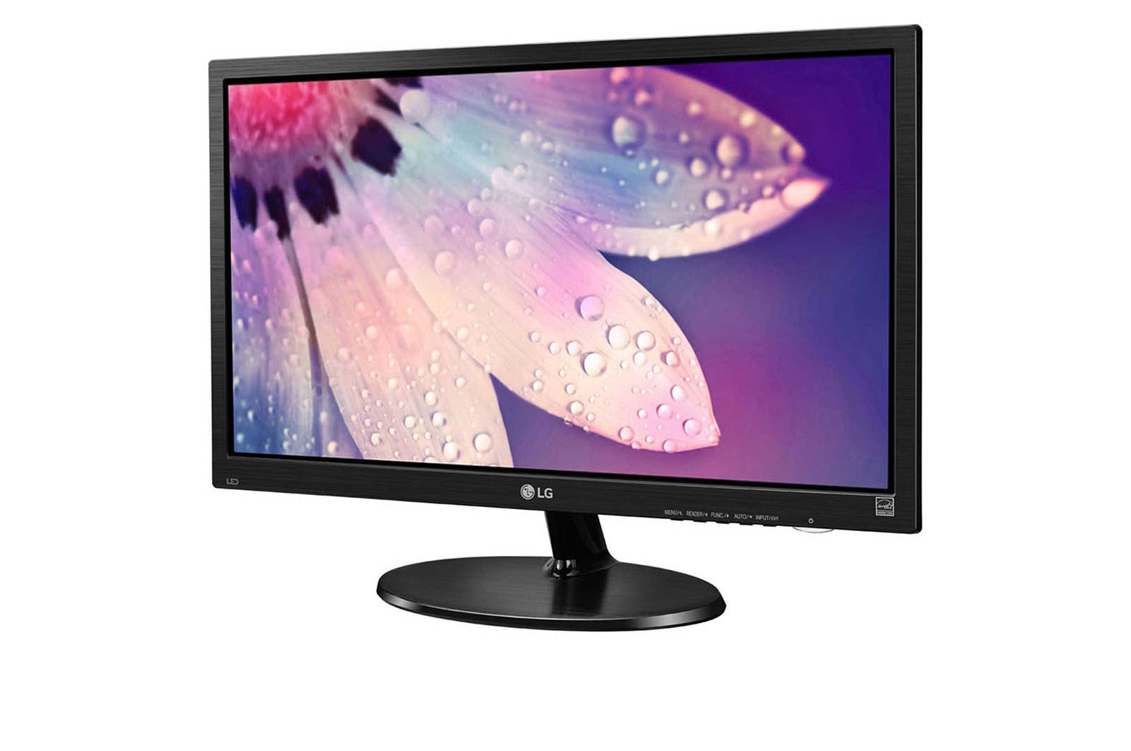 LG 48.26cm (19) FHD LED Office Monitor, 19M38AB-B