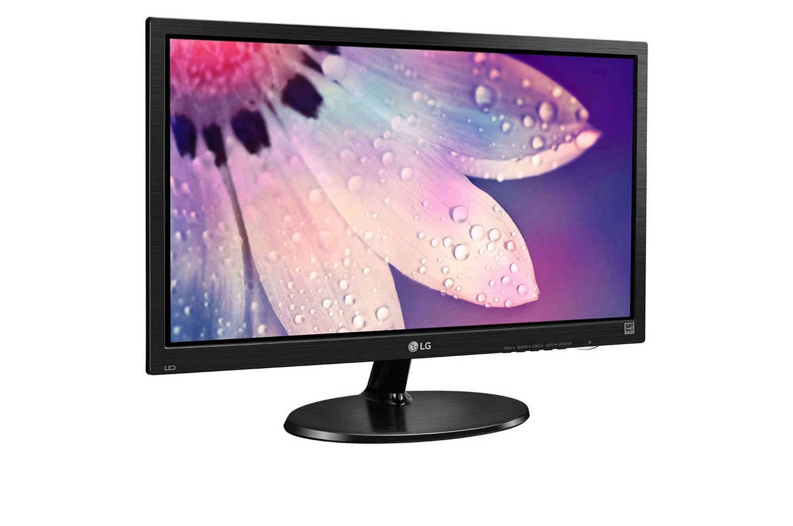 LG 48.26cm (19) FHD LED Office Monitor, 19M38AB-B