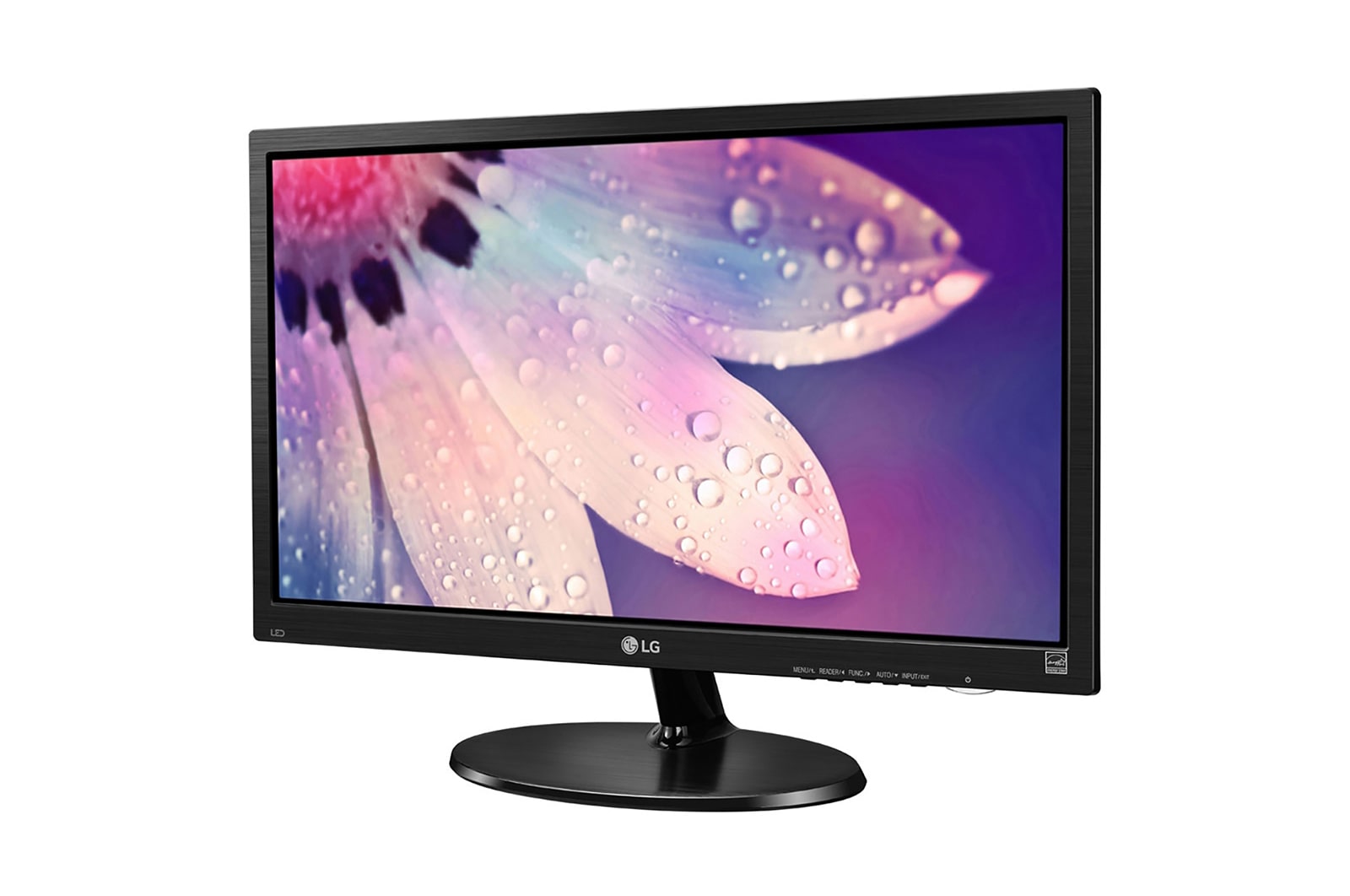 LG 48.26cm (19) FHD LED Office Monitor, 19M38HB-B