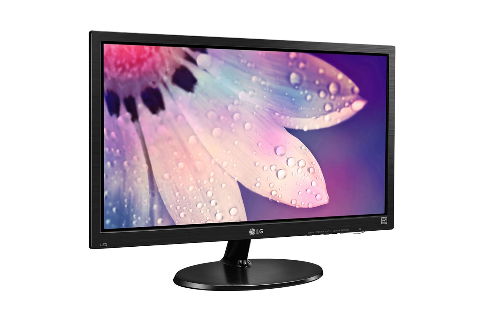 LG 48.26cm (19) FHD LED Office Monitor, 19M38HB-B