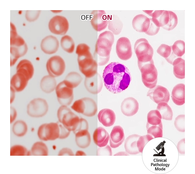 Realistic Color Reproduction