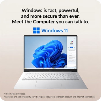 Windows 11