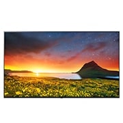 Vue de face du Téléviseur d'hôtellerie 4K UHD avec