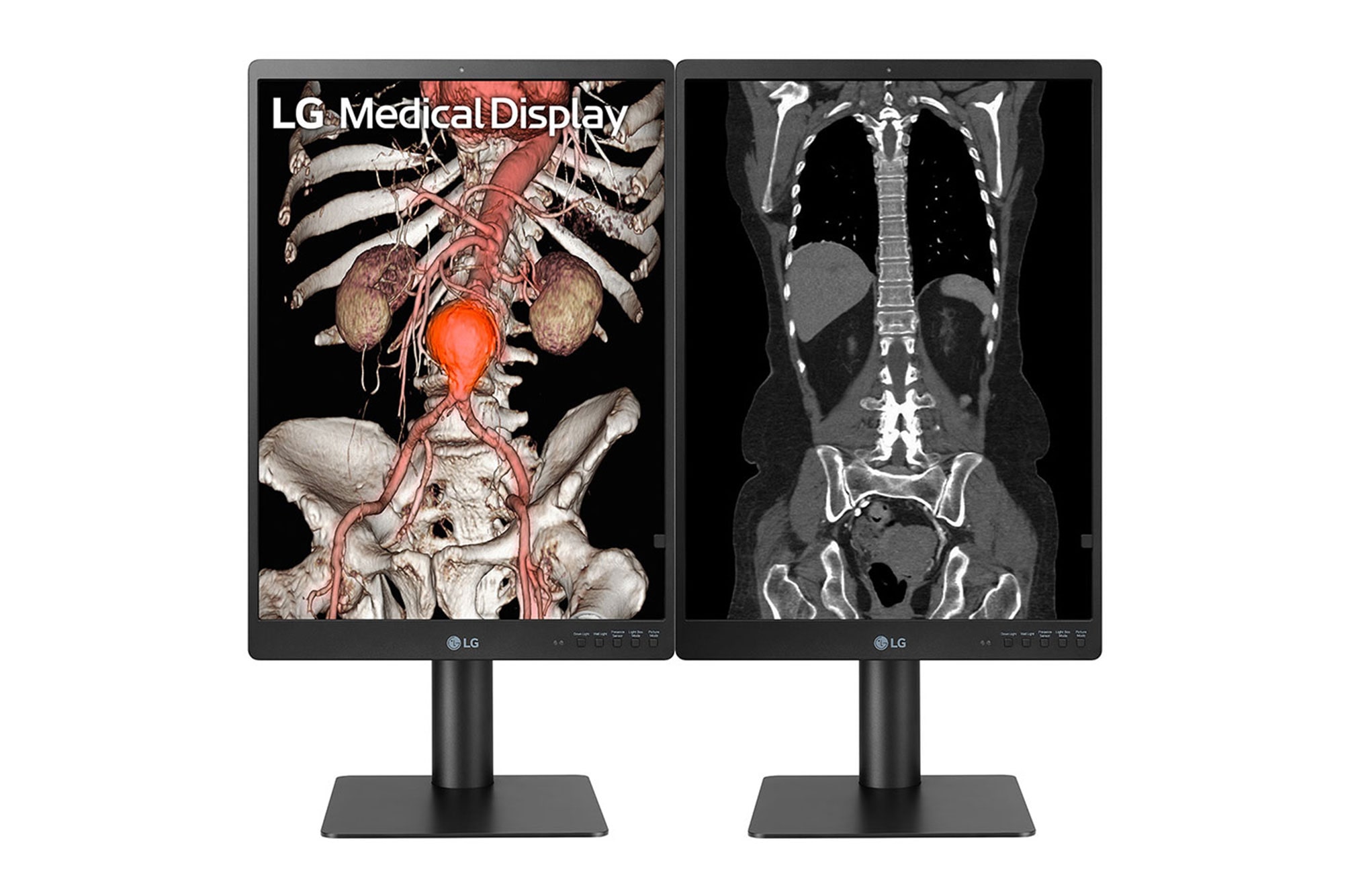DUAL MONITORS FRONT VIEW