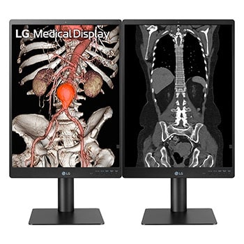 DUAL MONITORS FRONT VIEW