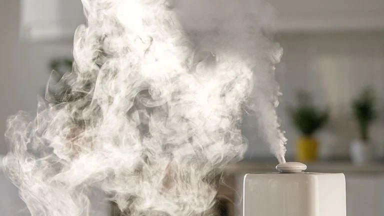 ¿Qué Tipo de Humidificador Me Ayudaría a Combatir un Hogar Seco