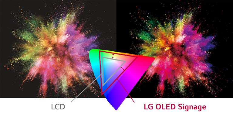 LG OLED Signage tiene una gran variedad de colores en lugar de LCD para expresar el objeto más vívidamente.