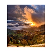 LG Pantalla LED Essential serie GSCC, GSCC080-GN