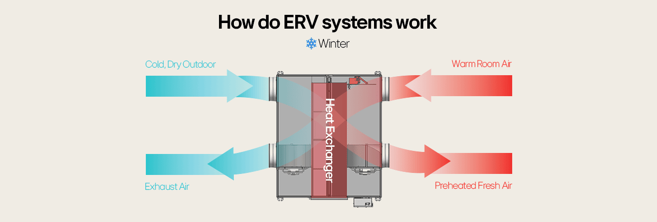 Diagram of how ERV systems work in winter, using a heat exchanger to preheat fresh air with warm exhaust air.