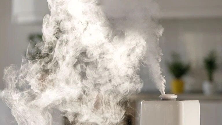 Which Humidifier Can Help You Combat a Dry Home