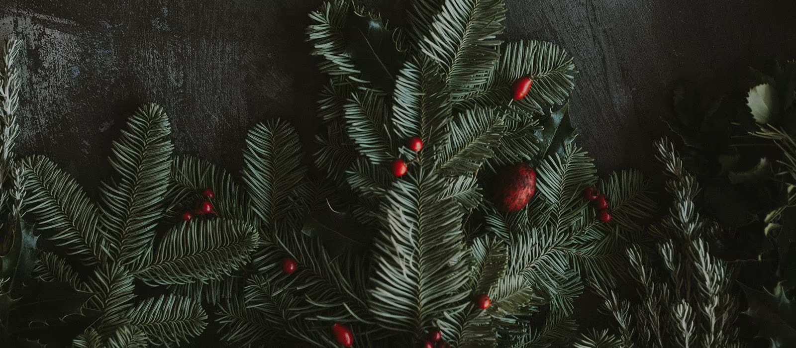 صنع نموذج الريشة المزدوجة (DUALl Vane) باستخدام قلم ثلاثي الأبعاد