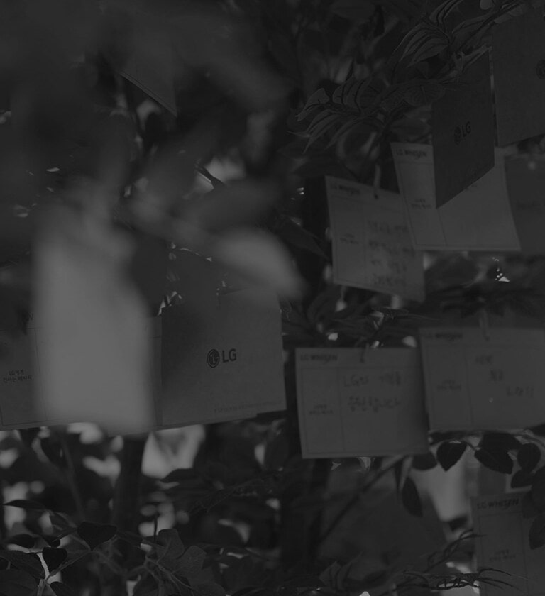 بدأت LG Air Solution مشروعاً للمحافظة عليه