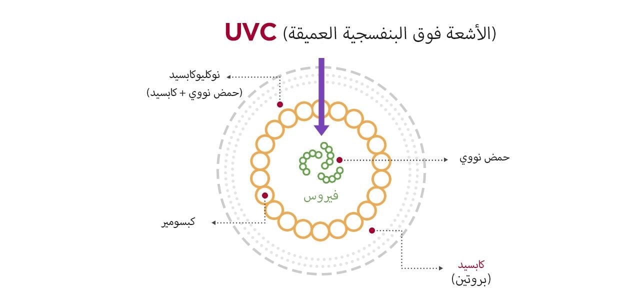 توضح الصورة كيف يقوم UVC بتعقيم الفيروس.