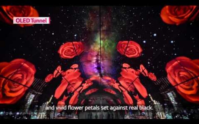 حل قابل للتعديل تمامًا وفقًا للطلب3