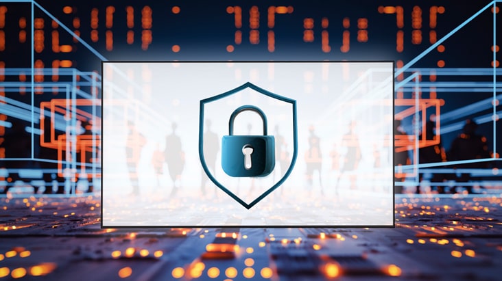 تمثل هذه الصورة الأمن المطبق في جميع أنحاء النظام، باستخدام صور مجردة.