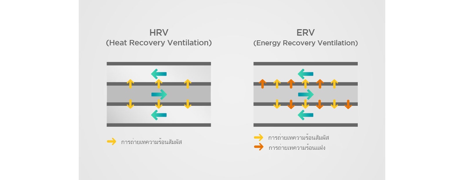รูปภาพเปรียบเทียบแนวคิดการแลกเปลี่ยนความร้อนของ HRV และ ERV