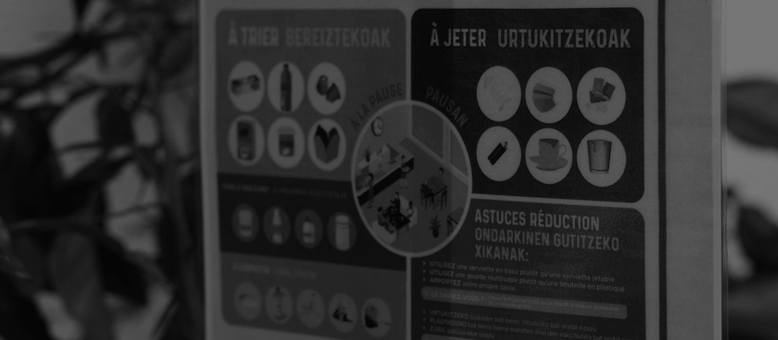 Karbon Ayak İzini Dengeleme Çalışmalarımızı Bir Adım Daha İleriye Taşıyoruz