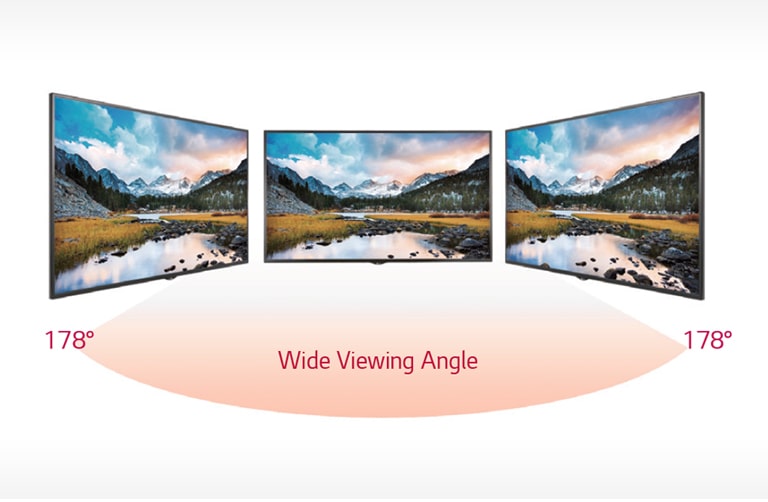 Wide Viewing Angle1