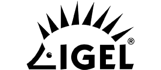 CQ600I offering IGEL for operation system.
