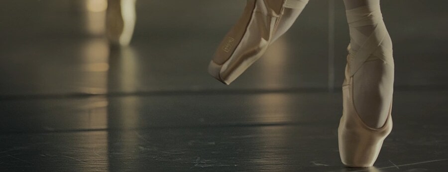 Img_LG SIGNATURE partner La Scala_ballerina