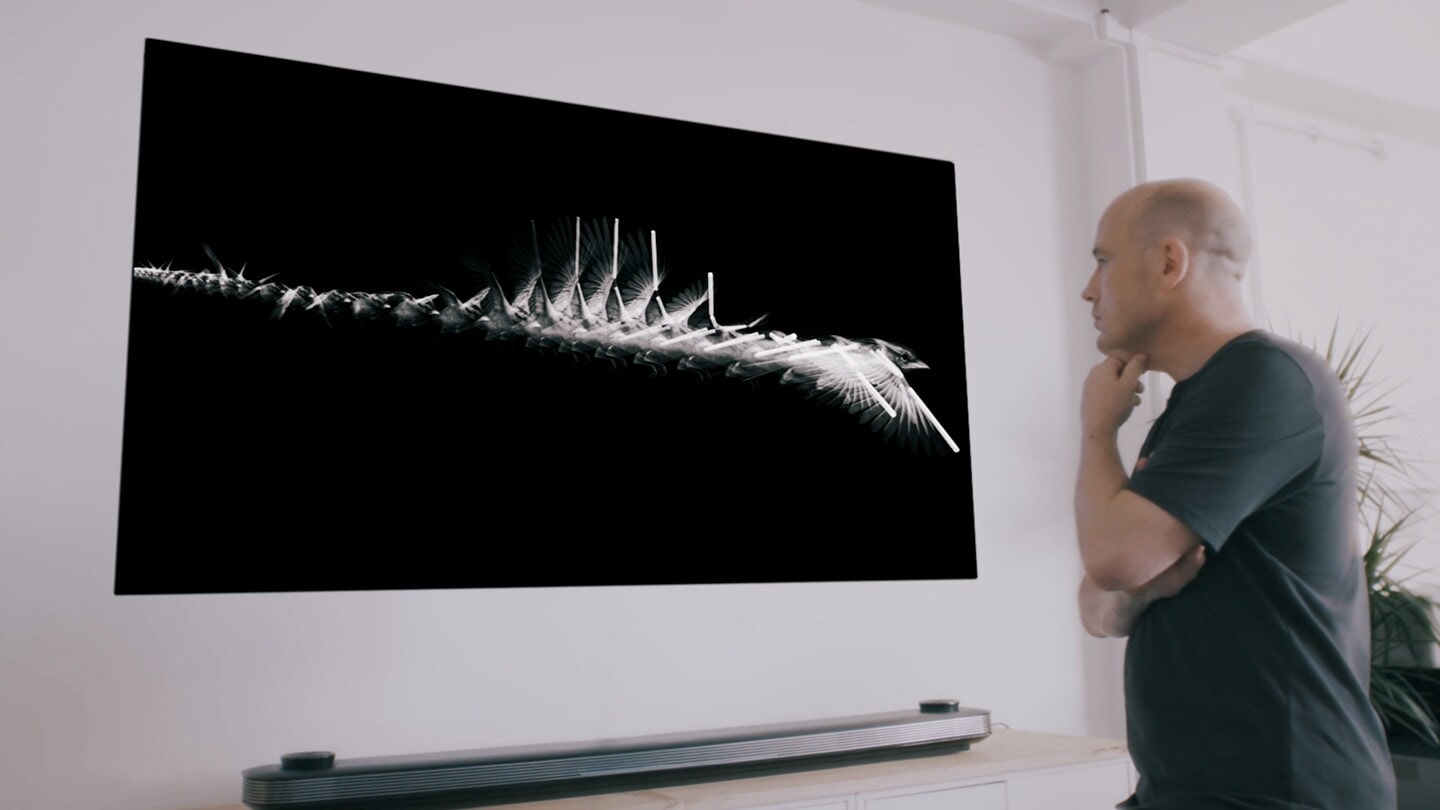 Matt Clark is staring at LG SIGNATURE OLED TV W