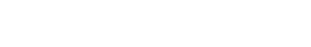 AI Dual Inverter