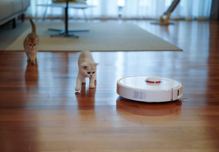 Dois gatos brancos observam um aspirador de pó robô no piso de madeira de uma residência.
