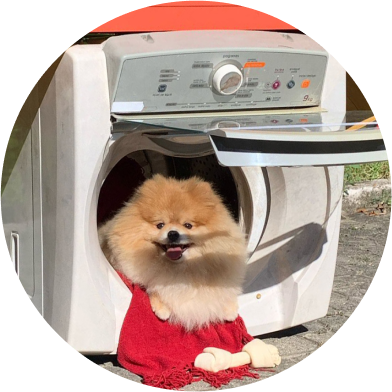Ieias - Casinha de cachorro