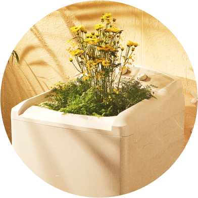 Ieias - Vaso de planta
