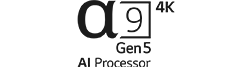 Logo for a9 gen5 4K AI Processor