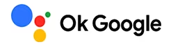 Logo Ok Google