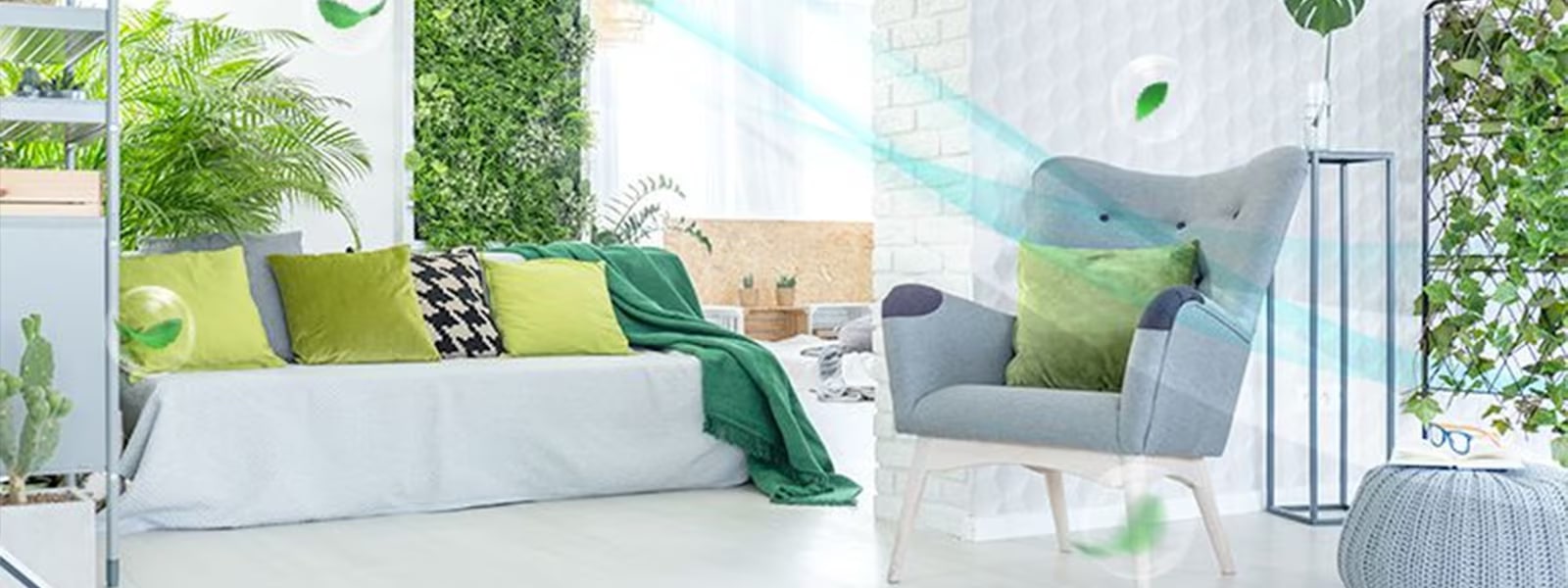 Bring the green into your home….1