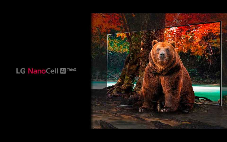 lg-magazine-what-is-nanocell-tv-main.jpg