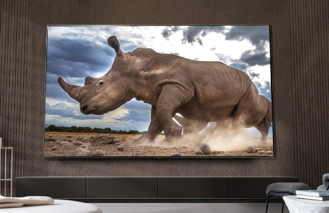 A huge animal is shown on the ultra big TV.	
