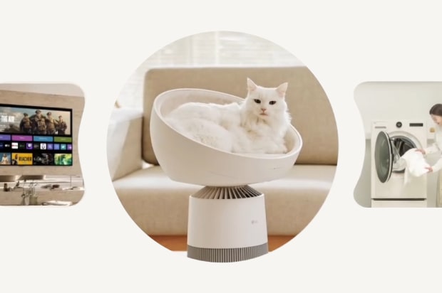 A collage of modern home appliances: The central circular image shows a fluffy white cat lying comfortably in a round pet bed attached to the top of a white air purifier in a living room. On the left, a cropped view of a smart TV displaying a video streaming menu, and on the right, a partial view of a woman loading clothes into a white front-load washing machine.