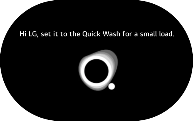 LG AI interface for setting a wash cycle by voice command